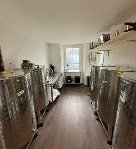 WhatsApp Image 2025-04-25 à 13.36.50_d8b3ffbb